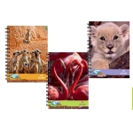 ΜΠΛΟΚ ΣΠΥΡΑΛ Α5 CENTRUM ΖΟΟ 80 ΦΥΛ.