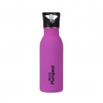 Ecolife Μεταλλικό ανοξείδωτο μπουκάλι Decor Purple 500ml (matte)