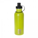 Ecolife Μεταλλικό ανοξείδωτο μπουκάλι Lime 600ml (matte)