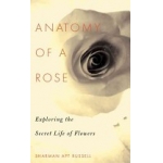 Anatomy Of A Rose: Exploring The Secret