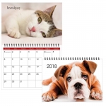 Next ημερολόγιο πλάνο τοίχου dogs & cats 20x23εκ.13φ.
