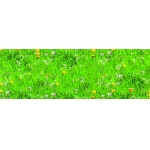 ΧΑΡΤΟΝΙ 300gr 49,5Χ68cm ΛΙΒΑΔΙ