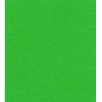 ΧΑΡΤΟΝΙ 50X70εκ ΠΡΑΣΙΝΟ 220γρ