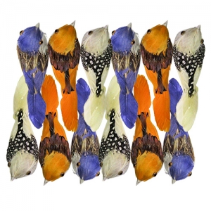 ΠΟΥΛΙΑ ΧΡΩΜΑΤΙΣΤΑ 9x3cm