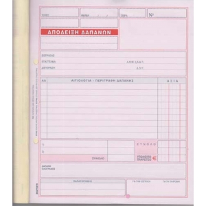 ΑΠΟΔΕΙΞΗ ΔΑΠΑΝΩΝ 19Χ20 50Χ3 Ν233Β