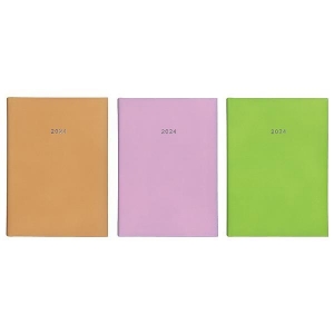 ΗΜΕΡΗΣΙΟ ΗΜΕΡΟΛΟΓΙΟ STATUS 12Χ17εκ