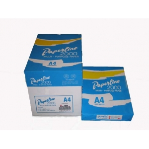 ΦΩΤΟΤΥΠΙΚΟ ΧΑΡΤΙ PAPERLINE 2000