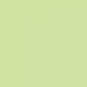 ΜΕΤΑΞΟΧΑΡΤΟ 51X76cm ΠΡΑΣΣΙΝΟ ΠΑΛ10 ΦΥΛΛΑ