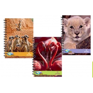 ΜΠΛΟΚ ΣΠΥΡΑΛ Α5 CENTRUM ΖΟΟ 80 ΦΥΛ.