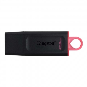 Kingston DataTraveler Exodia 256GB USB 3.2 Gen 1 (DTX/256GB)