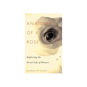 Anatomy Of A Rose: Exploring The Secret