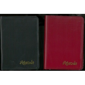 ΑΤΖΕΝΤΑ ΜΙΝΙ 5.6Χ6